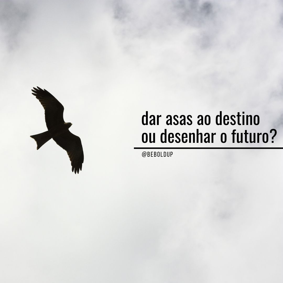 Dar asas ao destino?